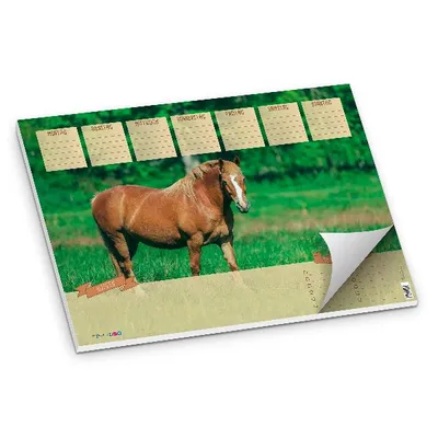 Produktbild von itenga Schreibtischunterlage Pferd DIN A3 50 Blatt