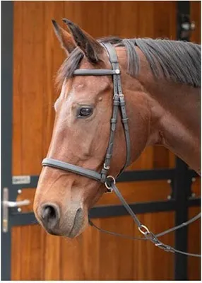 Produktbild von Harry´s Horse Easy Care Trense Schwarz Full Schwarz Full