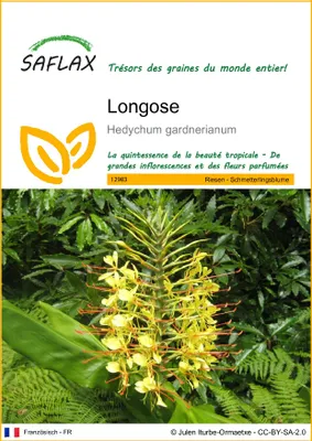 Image de SAFLAX - Longose - 10 graines - Hedychum