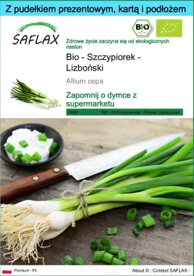 Zdjęcie produktu dla SAFLAX - Zestaw prezentowy - Bio - Szczypiorek - Lizboński - 150 Nasiona - Z pudełkiem upominkowym, etykietą wysyłkową, kartą podarunkową i podłożem uprawowym - Allium cepa