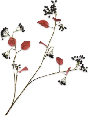 Produktbild von Silk-ka Kunstblume - Seidenblume - Kunstzweig - Beerenzweig Bordeaux 94cm