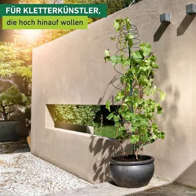 Produktbild von Rankspirale