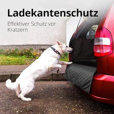 Produktbild von Hundeschutzmatte, wasserdicht & rutschfest, mit Laderampenschutz