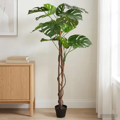 Produktbild von Künstliche Monstera Pflanze Grün 94 x 18 x 170 cm