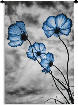 Produktbild von MuchoWow® Wandteppich Wandbehang Blumen - Blau - Schwarz - Weiß 120x180 cm Tapisserie Dekoration Wandtuch - Schlafzimmer - Dekorationen für das Haus