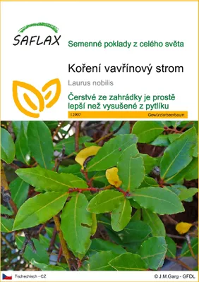 Obrázek produktu pro SAFLAX - koření vavřínový strom - Laurus nobilis - 6 Semena