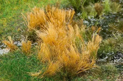 Schilfrohr-Modell, mehrfarbig, klein, Kunststoff