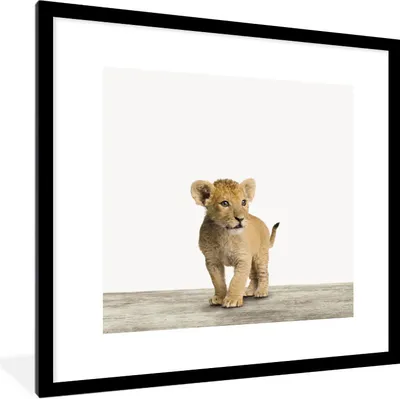 Produktbild von MuchoWow® Gerahmtes Poster Löwe - Junge - Kinder - Jungen - Tiere - Mädchen 40x40 cm - Poster mit Schwarzem Bilderrahmen Wandposter Rahmen Foto Bilder - Poster - Plakat im Rahmen