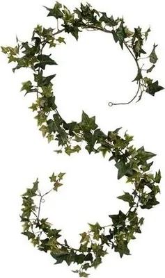 Produktbild von Kunstpflanze Hedera - Efeu - grun - Zweig - 180 cm