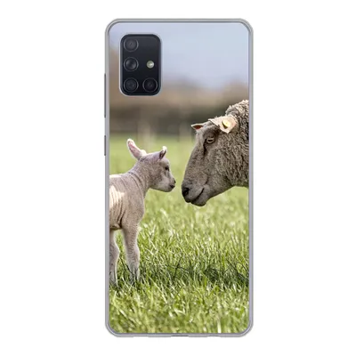 Produktbild von MuchoWow® Handyhülle Schutzhülle Hülle für Samsung Galaxy A71 Schafe - Gras - Lamm Silikon Softcase Handy Hülle - Kartenbesitzer