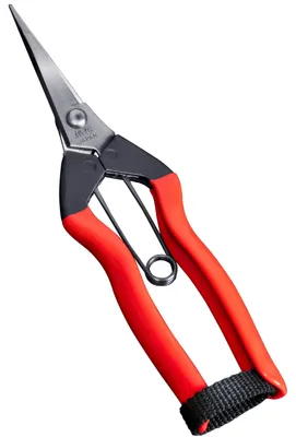 Obrázek produktu pro Precizní zahradnické nůžky z nerezové oceli