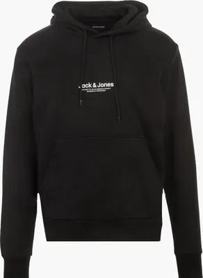 Image de JACK&JONES Sweat à capuche pour homme, JWHVESTERBRO