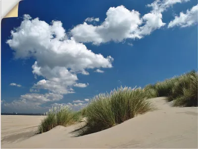 Produktbild von ARTland Wandbild, selbstklebend Himmel, Dünen und Meer Größe: 60x45 cm