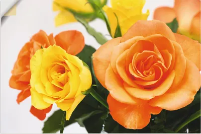 Produktbild von ARTland Wandbild, selbstklebend Rosenstrauß Größe: 30x20 cm