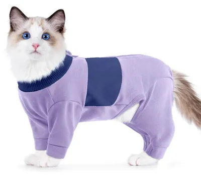 Productafbeelding van Kat Jumpsuit Medische Suit - Warmte en Bescherming voor Koude Dagen - Paars - XL