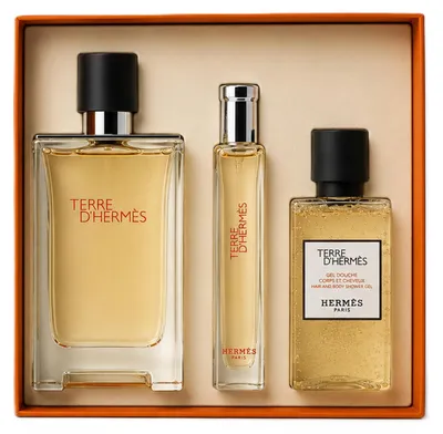 Produktbild von Hermes Terre D`Hermes Eau de Toilette 100ml + 15ml & Shower Gel 40ml