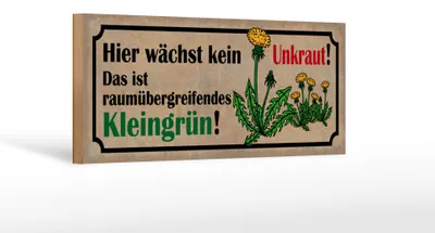 Produktbild von Holzschild Spruch 27x10cm wächst kein Unkraut Das ist Kleingrün
