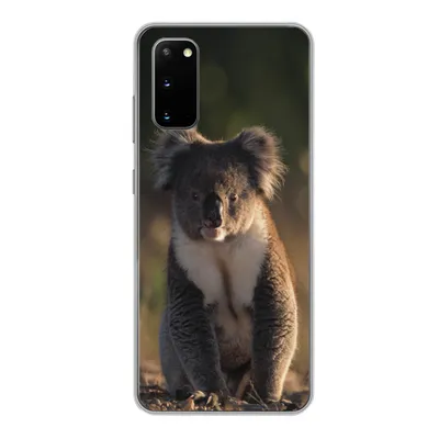 Produktbild von MuchoWow® Handyhülle Schutzhülle Hülle für Samsung Galaxy S20 Koala - Sonne - Tier - Kinder - Jungen - Mädchen Silikon Softcase Handy Hülle - Bild