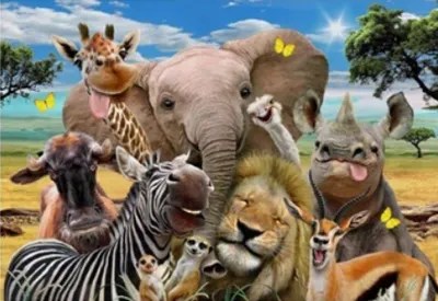 Productafbeelding van Diamantmozaïek: Safari-Dieren