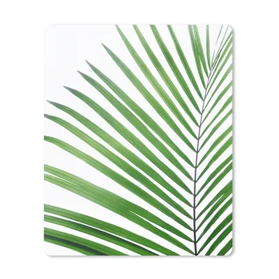 Produktbild von MuchoWow® Mauspad Mousepad Pflanze - Grün - Natur - Weiß 19x23 cm - Mousepads - Maus Mat - Pad - Mausunterlage - Mauspads - Spielen