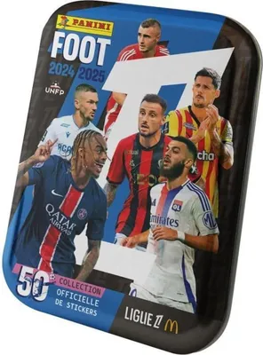 Image de Panini 004842TINPFGD, Multicolore, 110 mm, 75 mm, 170 mm, 410 g, 110 mm