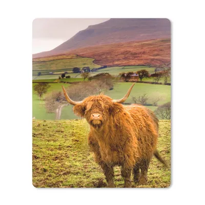 Produktbild von MuchoWow® Mauspad Mousepad Schottischer Highlander - Berg - Herbst 30x40 cm - Mousepads - Maus Mat - Pad - Mausunterlage - Mausmatten