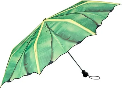 Produktbild von Regenschirme Bananenblatt, Taschenschirm Taschenschirme Schirme Schirm Blatt Blätter Banane
