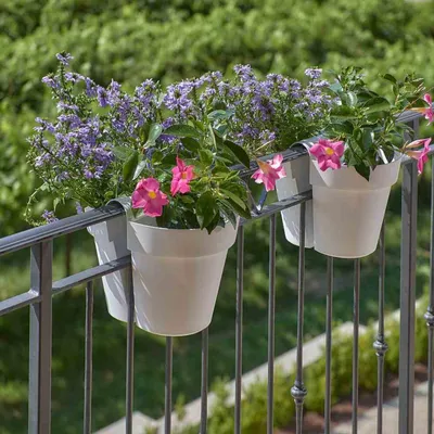 Produktbild von Balkonhängetopf BE-UP mit Wasserreserve 25cm,weiß