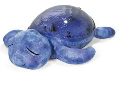 Image de cloud b Tranquil Turtle Ocean avec son et couleur