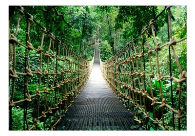 Produktbild von Vlies Fototapete Natur 350x256 cm Tapeten Wandtapete XXL tropische Landschaft Dschungel Brücke b-B-0622-a-a