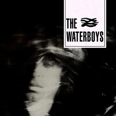 Produktbild von The Waterboys