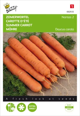 Artikelbild 2 von 'Möhre Nantes 2' aus der Kategorie Möhrensamen