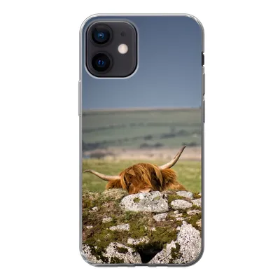 Produktbild von MuchoWow® Handyhülle Schutzhülle Hülle für iPhone 12 Schottische Highlander - Steine - Gras Silikon Softcase Handy Hülle - Schutzhülle
