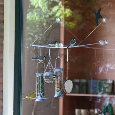 Produktbild von Fenster-Futterstelle „Bird Swing“