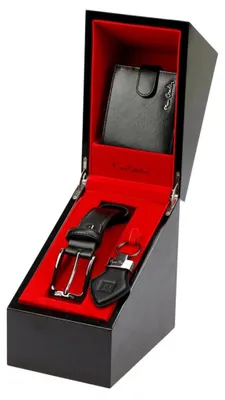 Image de Ceintures Pierre Cardin greg60560