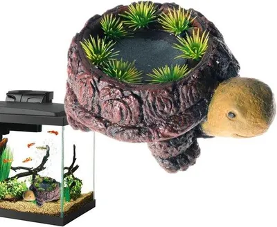 Produktbild von Famanu Luftstein Schildkröte - Dekorative Sauerstoffanreicherung - 16x11x5cm