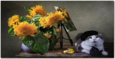 Produktbild von Coloray Bild aus Leinwand 140x70 Leinwand Dekoration - Blumen Katze