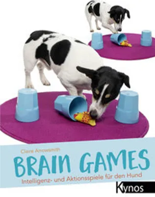Obrázek produktu pro Brain Games