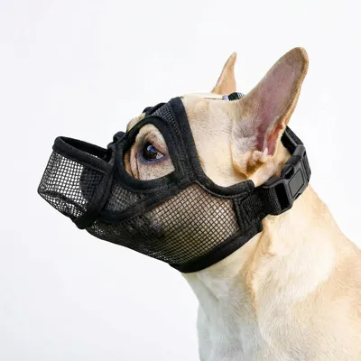 Produktbild von Hundemaulkorb für kurze Schnauzen Netzgewebe atmungsaktiv M Schwarz