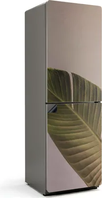 Produktbild von Blatt mit deutlichen Adern – Magnetische Kühlschrank Abdeckung – Dekorfolie magnetisch Küche – Kühlschrank Magnet Deko – selbstklebende Magnettafel – Magnetfolie für Kühlschranktür – 60x180 cm