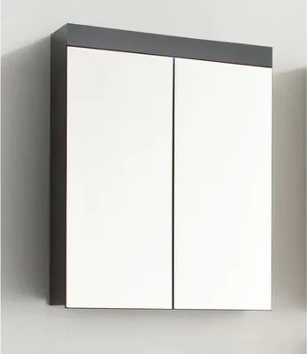 Obrázok produktu pre Kúpeľňová skrinka so zrkadlom AMANDA, 2 dvere, 60 x 17 x 77 cm, sivá matná, závesná, TRENDTEAM
