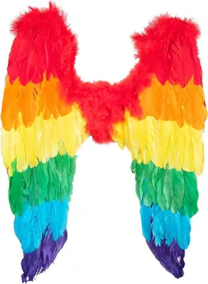 Produktbild von Regenbogen Flügel - für Karneval & Faschingskostüm