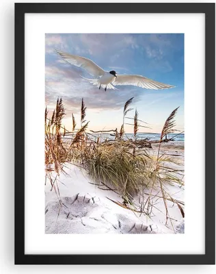 Produktbild von Gerahmtes Poster - Schwarzer Rahmen - Möwe Meer Küste - 30x40 cm - Wand Bild - Wanddeko - Wandbilder - Kunstposter - Wandposter - Bilderrahmen - Bilder - Kunstdruck - Wanddekoration - P2BPA30x40-4902