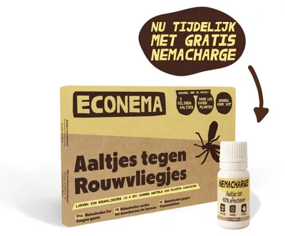 Productafbeelding van Econema Aaltjes tegen rouwvliegjes – kleine zwarte vliegjes bij kamerplanten bestrijden – 10 m² / 25 planten