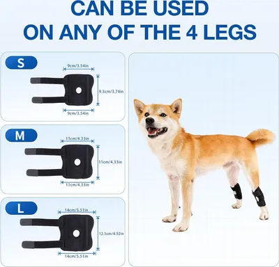 Produktbild von INF Kniebandage für Hunde, Stütze für Hundebeine, Größe M