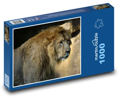 Obrázok produktu pre Puzzle 1000 Lev - Kráľ divočiny - martinpuzzle