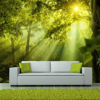 Produktbild von Basera Selbstklebende Fototapete Waldmotiv c-A-0077-a-a, mit UV-Schutz, 294x210 cm