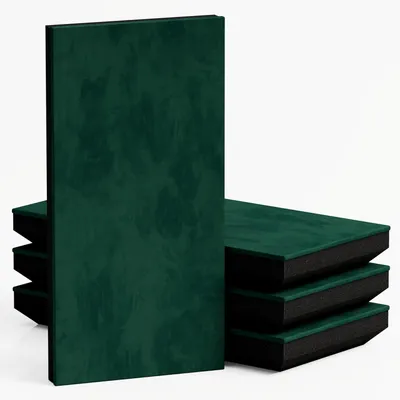 Productafbeelding van Set van 10 – Dunne akoestische paneelbekleding "CINEMATIC-mini" met bevestigingsset | Decoratief geluidsabsorberend paneel | Geluidsisolatie | [N-Paneel 50x25x5cm | Groen]