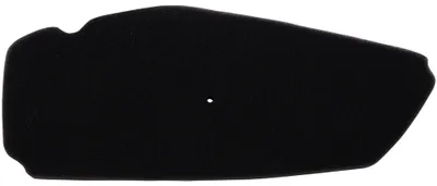 Immagine prodotto di Filtro aria Spec-X nero