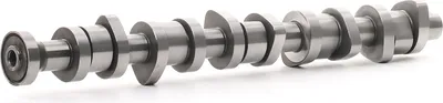 Produktbild von RIDEX 566C0029 Nockenwelle für VW Transporter V Bus (7HB, 7HJ, 7EB, 7EJ, 7EF, 7EG, 7HF, 7EC) Multivan V (7HM, 7HN, 7HF, 7EF, 7EM, 7EN) Touareg